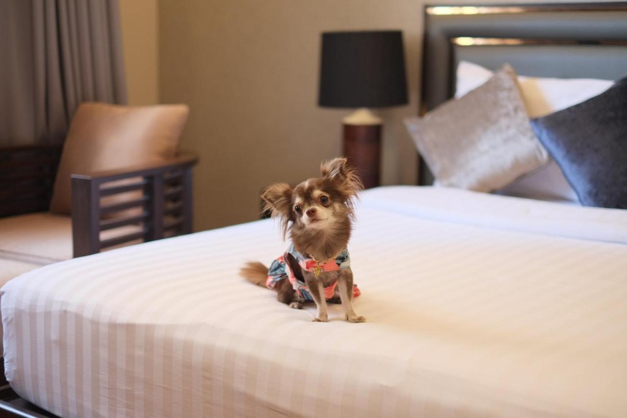 Grand Mercure Bangkok Asoke Residence Luaran gambar