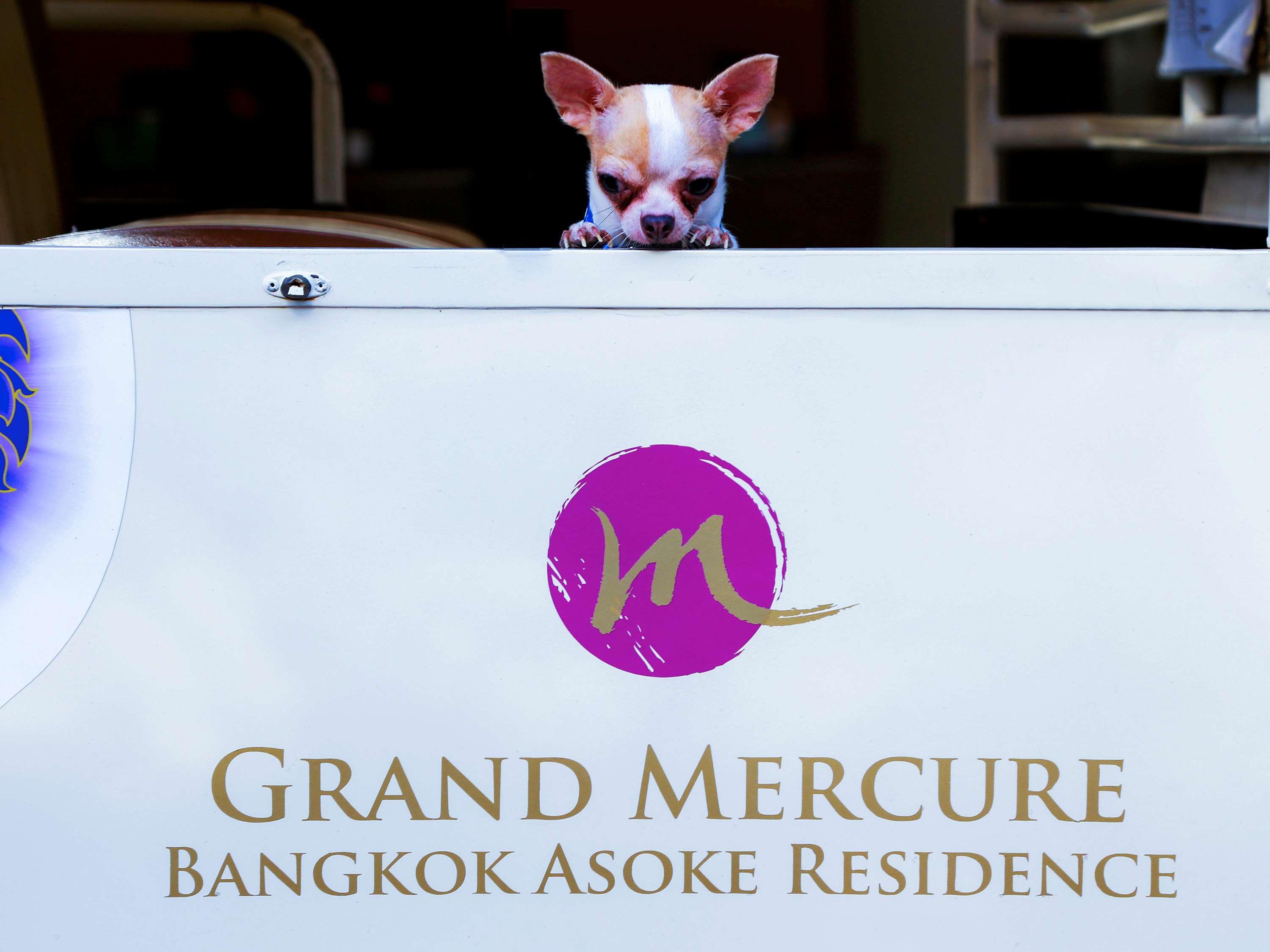 Grand Mercure Bangkok Asoke Residence Luaran gambar